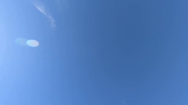 Самая лучшая масть для Гона смотреть онлайн