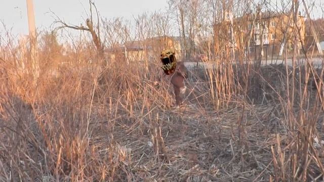 мы на миду смотреть онлайн