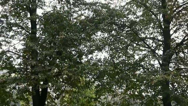 00021 смотреть онлайн