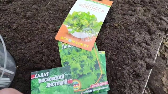 Жарю вкусные драники// Посеяла салатики в теплицу// Обед готов!!! смотреть онлайн