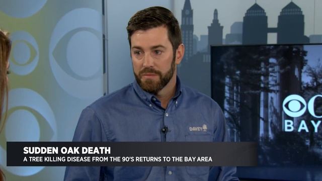 Discussing Sudden Oak Death in California смотреть онлайн