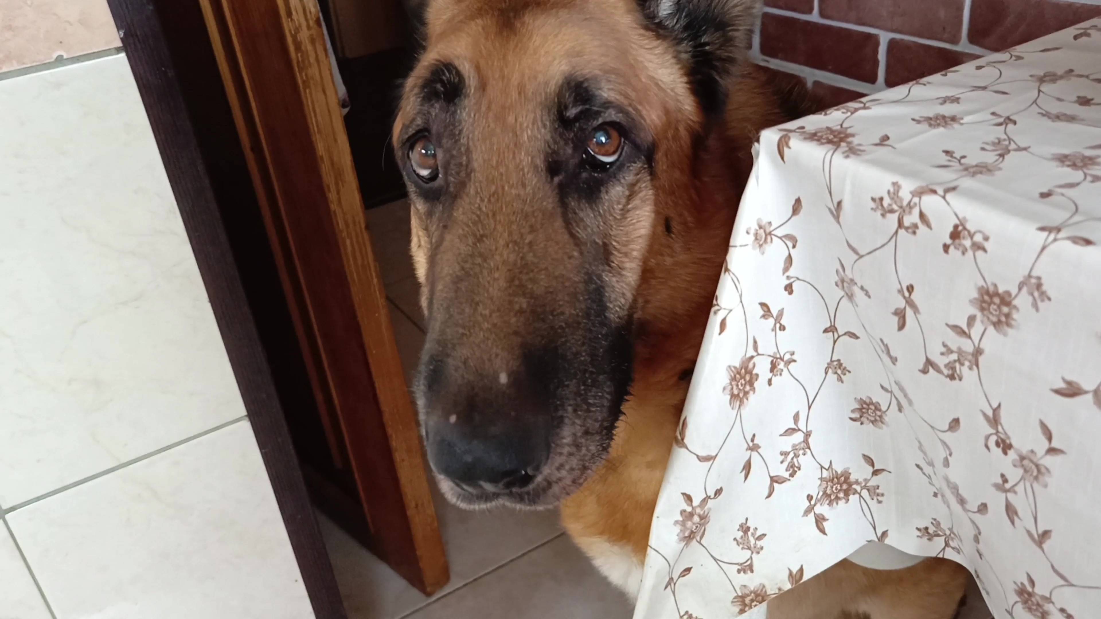 У дежурного доктора с  Таисией. Магазин 7шагоофф. Улыбка Радуги. Покупки.Ленивые голубцы. Оливье.