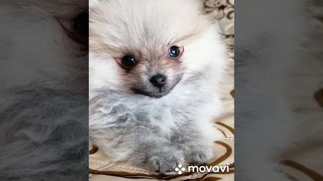Мой первый бит смотреть онлайн