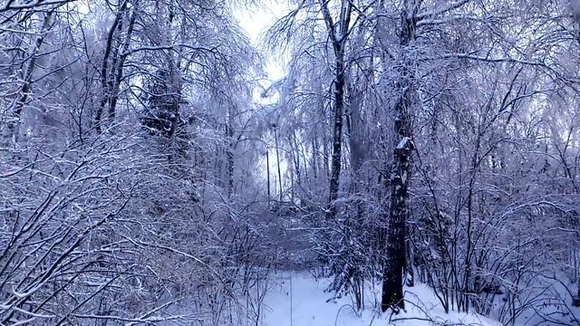 Ледяной дождь ноябрь 17го последствия смотреть онлайн