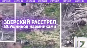 Наемники расстреляли ВСУшников-отказников на Запорожье