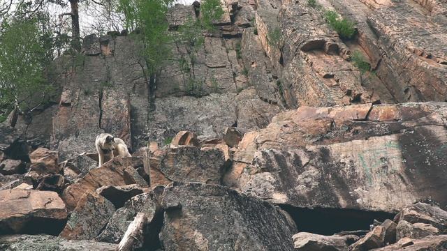 Ашинские скалы, Челябинская область. За Акелу в мгновение стало страшно. смотреть онлайн