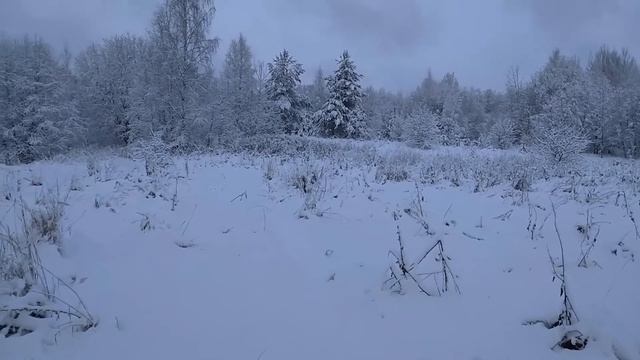 Снежный металлокоп смотреть онлайн