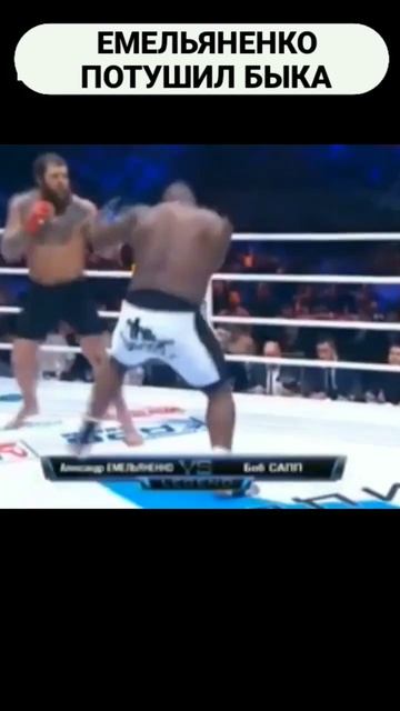 АЕ против Огромного БЫКА! #shorts смотреть онлайн