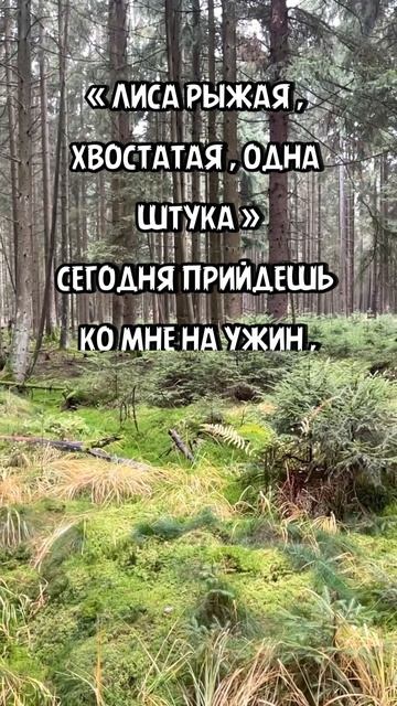 Юмор смотреть онлайн