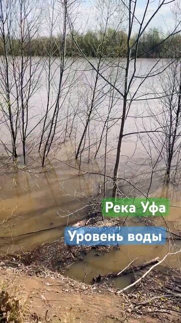 Река Уфа, 20 апреля 2024, в 1 км от города смотреть онлайн