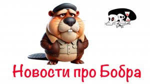 Новости про Бобра