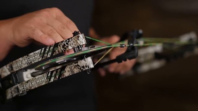 Bear Archery 2018 | Kuma смотреть онлайн