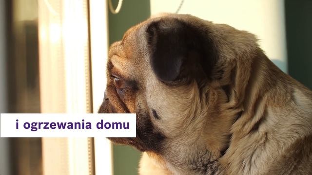 Twoje ogrzewanie: kocioł + inteligentny system regulacji. Razem zawsze lepiej. смотреть онлайн