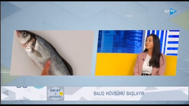 Balıq məhsullarını seçərkən hansı məqamlara diqqət etmək lazımdır? смотреть онлайн