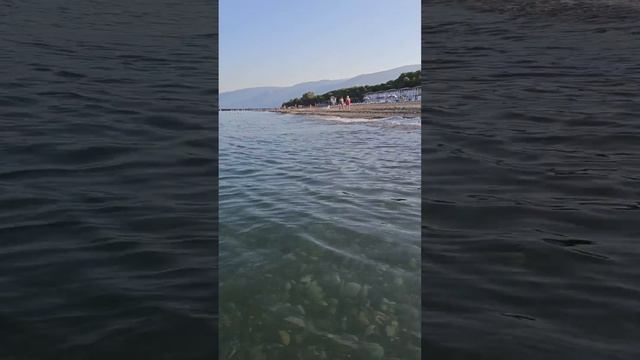 пляж сосновая роща смотреть онлайн