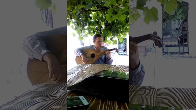 Концерт средневековой музыки под лютню 6 смотреть онлайн