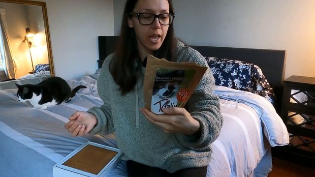 New to homemade cat food? Just use a premix... смотреть онлайн