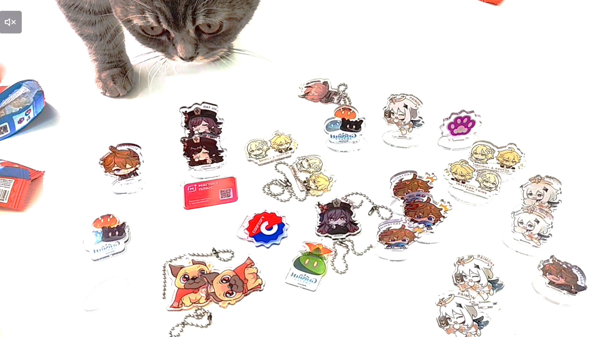 ГЕНШИН ИМПАКТ С ПОЖЕЛАНИЯМИ из Магнита!