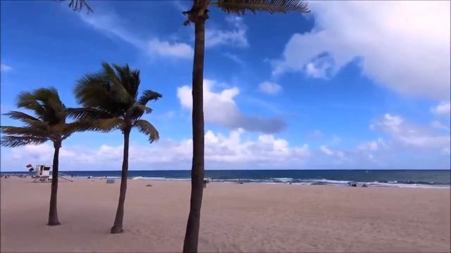 Для чего нужна биометрия. Версия. смотреть онлайн