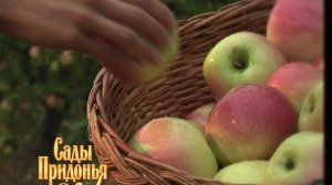 Реклама Сады Придонья