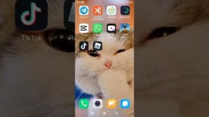 Туториал как сохранить видео с тик тока без водяного знака