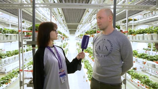 Сюжет Сони Хлызовой. Клубничная ферма смотреть онлайн
