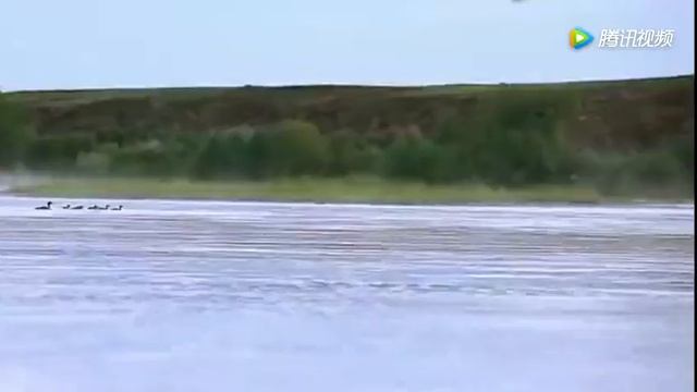 Атамекен Aралым, Дана Арғынұлы. ❤دانا ارعىن ۇلىنىڭ جاڭا بەينەبايانى - اتا مەكەن ارالىم смотреть онлайн