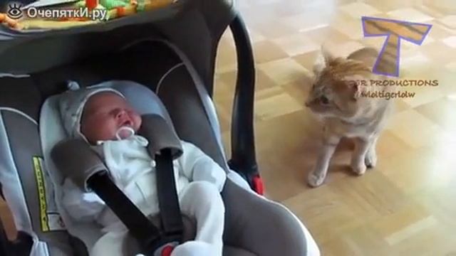 Кошки, собаки и маленькие детишки смотреть онлайн