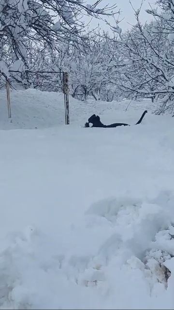 итальяшка застрял в снегу🤣 смотреть онлайн