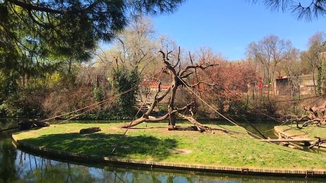 Zoo Aquarium de Madrid смотреть онлайн