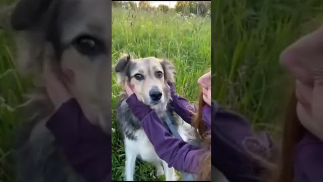 Офелия😍 смотреть онлайн