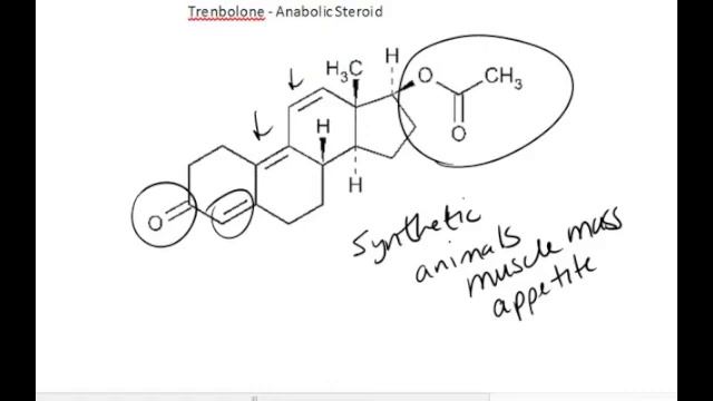 CIC305 Anabolic Steroid смотреть онлайн