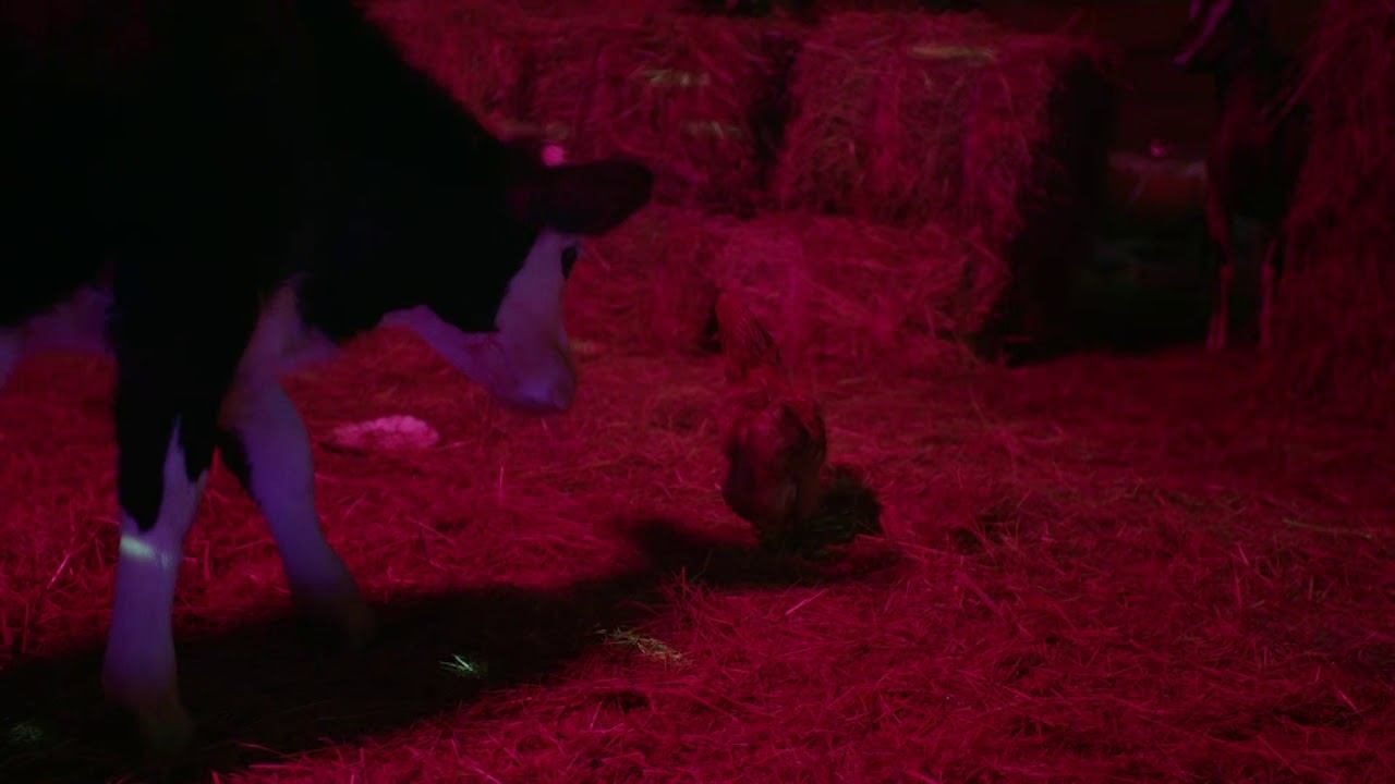 Село Зеленое 15с (Positive Disco)