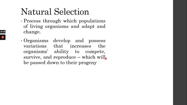 GenBio2 Lesson 5.1: Evolution of Life - Evolutionary School of Thought смотреть онлайн