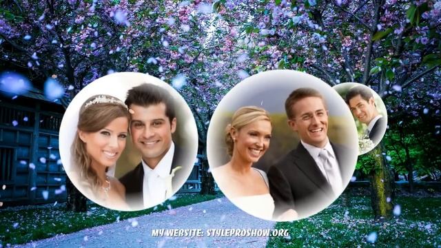 Free download Project Proshow Producer Wedding - Special Ellipse Styles смотреть онлайн