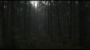 СКАЗОЧНЫЙ ХИП-ХОП КРАСНАЯ ШАПОЧКА