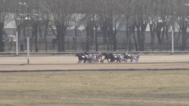 Московский ипподром. Бега. 30.03.14. Заезд 1(98) смотреть онлайн