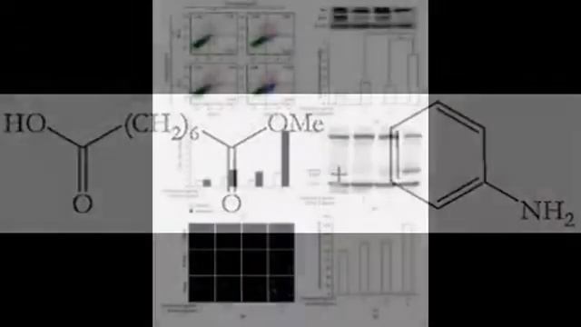 Vorinostat inhibits the growth of three prostate cancer смотреть онлайн