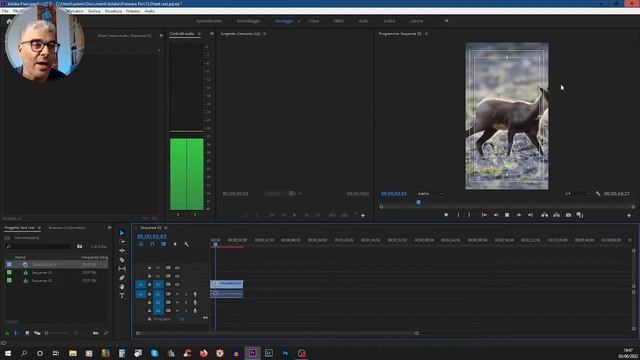 TUTORIAL ITA - INSTAGRAM REELS con PREMIERE PRO