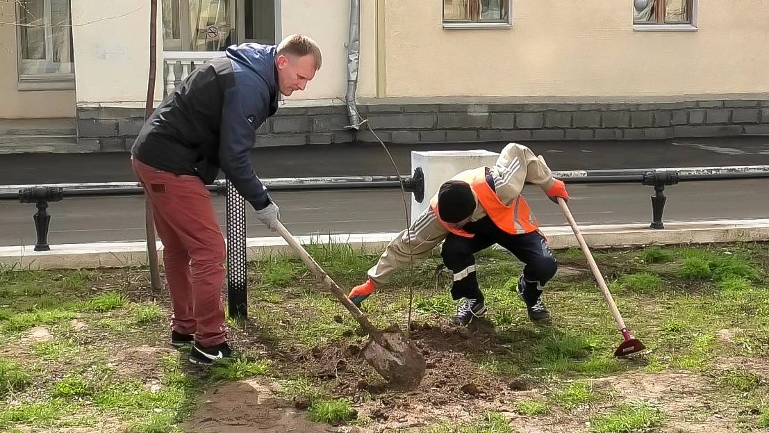 Волжане озеленяют город смотреть онлайн