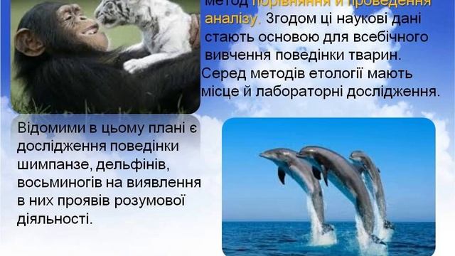 01 Поведінка тварин, методи її вивчення 7 клас смотреть онлайн