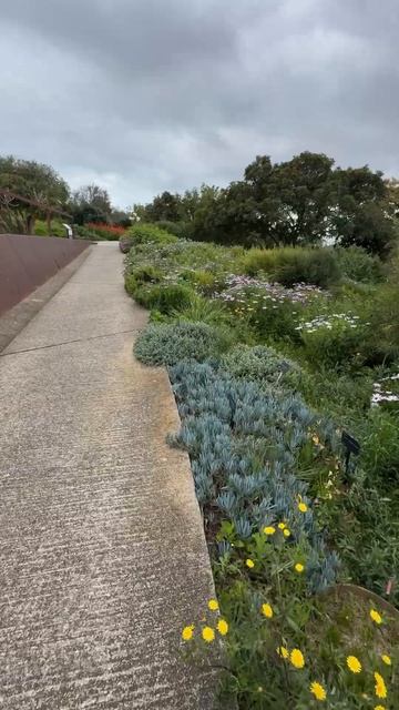 Jardí Botànic de Barcelona смотреть онлайн
