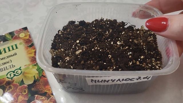 Как посеять мимулюс? смотреть онлайн