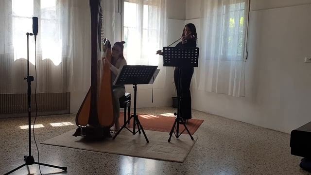 Pachelbel ‐ Canon in D arr. Sylvia Woods смотреть онлайн