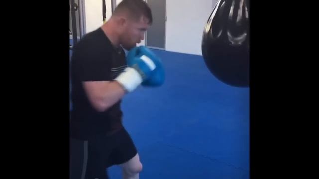 Canelo Alvarez Training смотреть онлайн