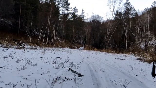 Сосновики лог | Sosnoviki log смотреть онлайн