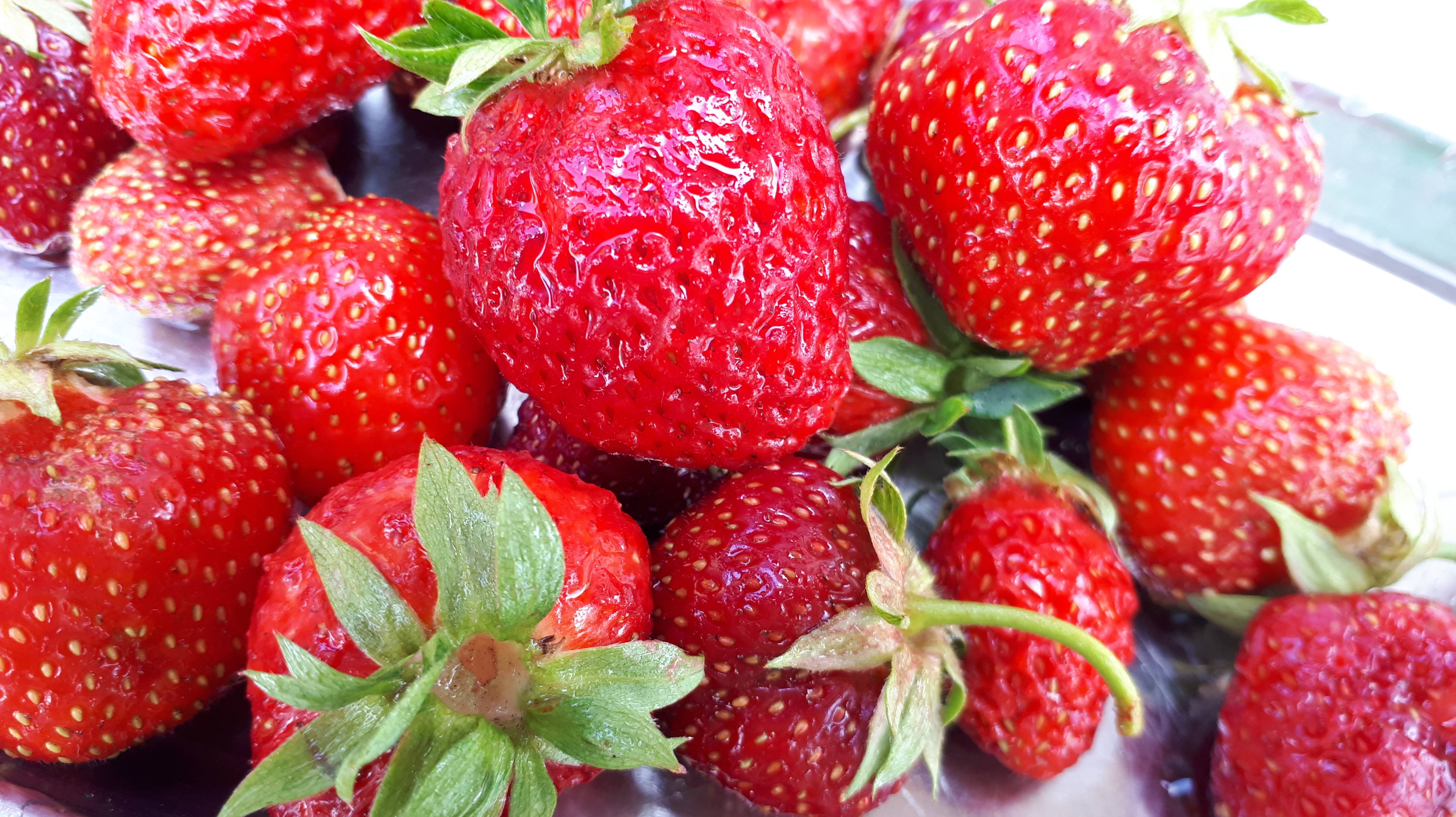 2027.   Чистим клубничные посадки(11.04.25 г.)