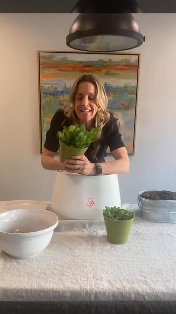 A Gardener's Review of the Lomi Kitchen Composter смотреть онлайн
