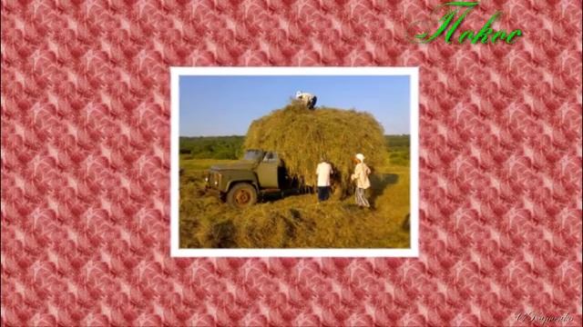 покос смотреть онлайн