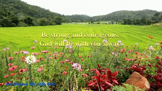 V267 - DO NOT FEAR | TRUST GOD | Inspirational Word for Today смотреть онлайн
